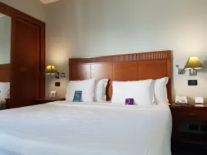 Mercure Leonardo da Vinci Rome Airport - Chambre