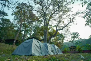 Dandeli Inn Resort - Room