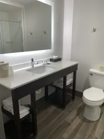 Comfort Inn & Suites Greer - Greenville - Salle de bain
