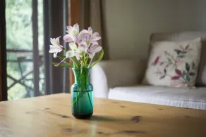 Zone Connect by the Park Manali - Quarto