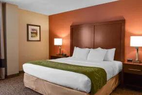 Comfort Suites Downtown Carlisle - Chambre