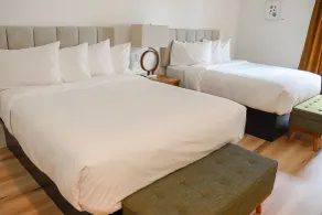 The Wildflower Inn - Chambre