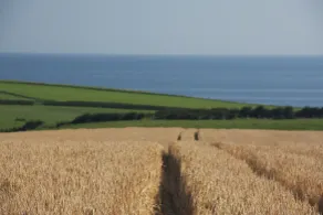 Bayview Farm Holiday Cottages - Udsigt fra værelset