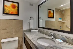 Drury Inn & Suites Poplar Bluff - Salle de bain