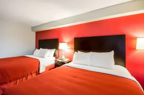Quality Inn near Potomac Mills - Chambre