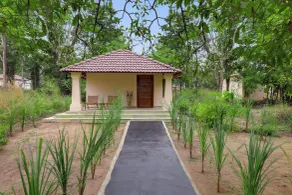 The Safari Lodge Kanha - Room