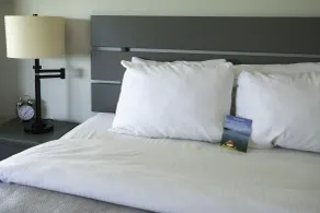 Brio Beach Inn - Room