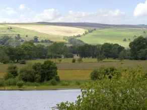 The Rindle - Interiør