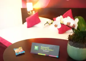 ibis Styles Angers Centre Gare - Værelse