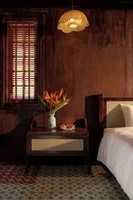 Nature Garden Ecolodge Ninh Bình - Rum