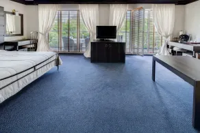 Bakkara Hotel - Room