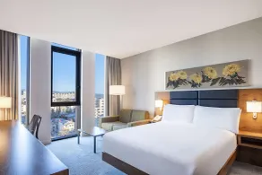 Hilton Garden Inn Tbilisi Chavchavadze - Room
