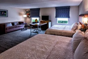 Hampton Inn & Suites Staten Island - Camera