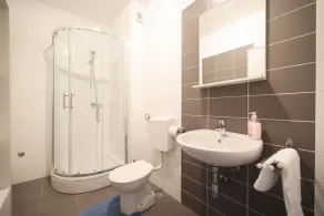 Apartment Skroce - Bagno