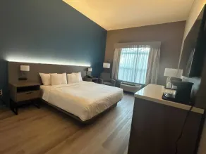 Comfort Inn & Suites Concord - Kannapolis - Camera