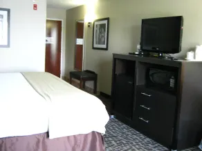 Holiday Inn Express Hotel & Suites Youngstown - North Lima/Boardman by IHG - Chambre