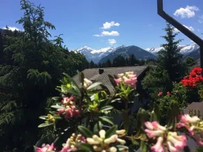 Hotel Alpenrose mit Gourmet-Restaurant Azalée - Vue de la chambre
