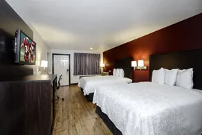 Red Roof Inn PLUS+ Hammond - Chambre