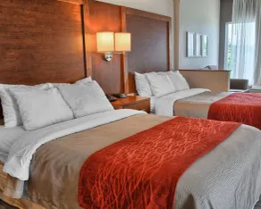 Comfort Inn Ruther Glen near Kings Dominion - Chambre
