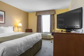 Quality Inn Airport - Chambre