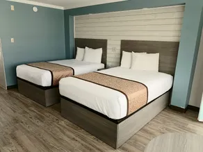 Dolphin Inn - Room