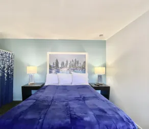 Bluebird Day Inn & Suites - Chambre