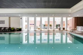 Hôtel Lyon Métropole - Piscine