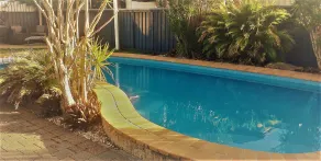 Avlon Gardens Motel - Pool