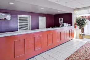 Quality Inn Starkville near University - Réception