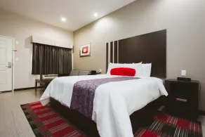 Americas Best Value Inn and Suites IAH Airport North - Chambre