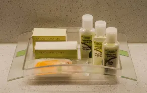 Holiday Inn Little Rock-Presidential-Downtown by IHG - Salle de bain
