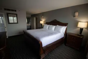 Wyndham Houston at Reliant Park & Medical Center - Room