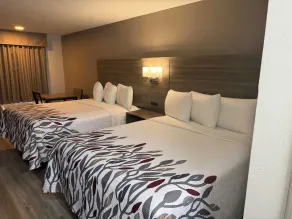 Red Roof Inn Orangeburg - Zimmer