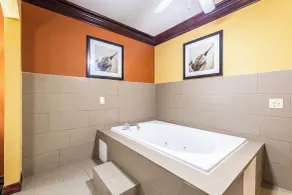 Comfort Suites Lake Jackson Clute - Chambre