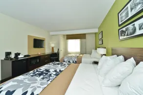 Sleep Inn & Suites Harrisburg - Hershey North - Chambre
