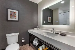 Cambria Hotel Columbia Downtown the Vista - Salle de bain
