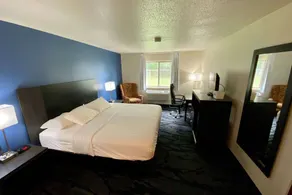 Baymont Toledo Airport Hotel Swanton - Chambre