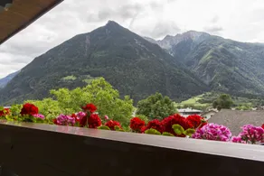 Hotel Mühlenerhof - View from room