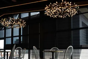 Hotel Lounge - Restaurant