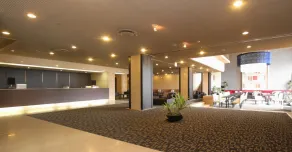 Nagaragawa Seiryu Hotel - Réception
