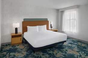 Hampton Inn & Suites Detroit/Sterling Heights - Room
