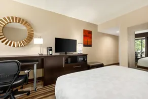 Holiday Inn Washington-Dulles International Airport by IHG - Room