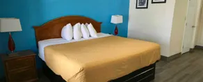 Williamston Inn NC Near Greenville US 64 - Habitación