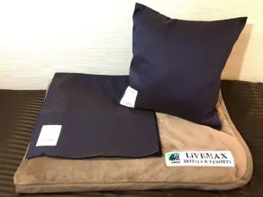 HOTEL LiVEMAX BUDGET Sagamihara - Chambre