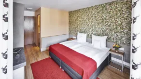 Hirsch Hotel - Room