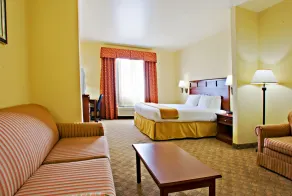 Holiday Inn Express & Suites Levelland by IHG - Zimmer