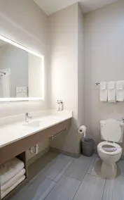 Holiday Inn Express Hotel & Suites Cedar Hill by IHG - Salle de bain