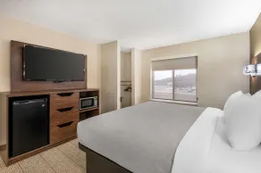 Quality Inn & Suites near Owensboro & Holiday World GOLD AWARD WINNER - Værelse