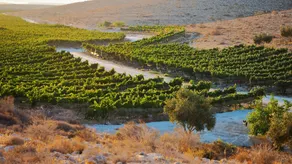Carmey Avdat Farm - View from room