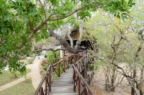 Pezulu Tree House Lodge - Recepção